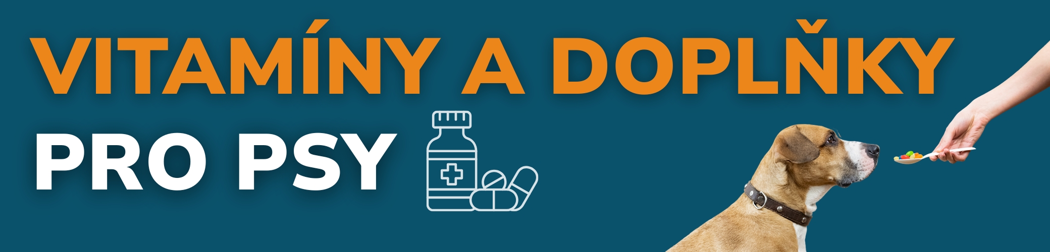 VITAMINY A DOPLNKY STRAVY PRO PSY